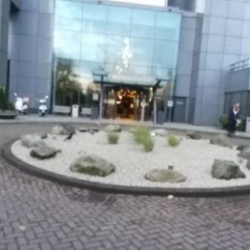 tuinaanleg bedrijf