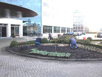 tuinonderhoud door Hoveniersbedrijf Aarts