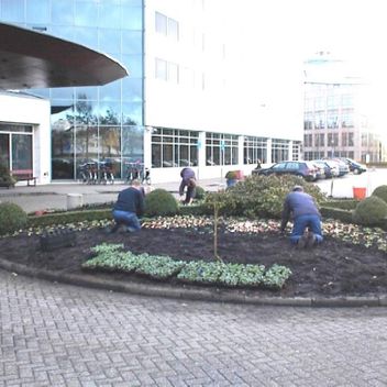 tuinonderhoud door Hoveniersbedrijf Aarts