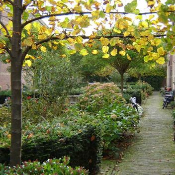 groenvoorziening door Hoveniersbedrijf Aarts